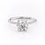 Round Cut Moissanite Engagement Ring, Plain Band With Hidden Halo
