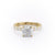 Cushion Cut Moissanite Stone Set Shoulders With Hidden Halo