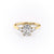 Elongated Cushion Cut Moissanite 3 Stone Ring