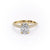 Elongated Cushion Cut Moissanite Engagement Ring, Pave Set Shoulders