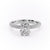 Elongated Cushion Cut Moissanite Pavé Set Shoulders With Hidden Halo