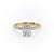 Elongated Cushion Cut Moissanite Pavé Set Shoulders With Hidden Halo