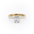 Elongated Cushion Cut Moissanite Stone Set Shoulders With Hidden Halo