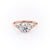 ROUND CUT MOISSANITE WITH SIDE STONES