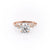 Round Cut Moissanite With Hidden Halo And Side Stones