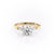 Round Cut Moissanite, Traditional Classic Design