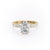 OVAL CUT MOISSANITE STONE SET SHOULDERS WITH HIDDEN HALO