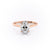 Oval Cut Moissanite Engagement Ring, Plain Band & Hidden Halo