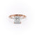 Princess Cut Moissanite Engagement Ring With Hidden Halo