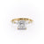 Princess Cut Moissanite Engagement Ring With Hidden Halo
