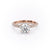ROUND CUT MOISSANITE PAVÉ SET SHOULDERS WITH HIDDEN HALO