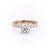 ROUND CUT MOISSANITE STONE SET SHOULDERS WITH HIDDEN HALO