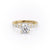 ROUND CUT MOISSANITE STONE SET SHOULDERS WITH HIDDEN HALO
