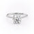 Round Cut Moissanite Engagement Ring, Plain Band With Hidden Halo