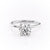 Round Cut Moissanite, Plain Band & Hidden Halo
