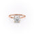 Round Cut Moissanite, Plain Band & Hidden Halo