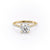 Round Cut Moissanite Shoulder Set Ring With Hidden Halo