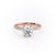 Round Cut Moissanite Shoulder Set Ring With Block Halo