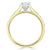 Heart Cut Moissanite Engagement Ring, Classic Style